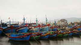 Khẩn trương giúp tàu thuyền tìm nơi tránh bão số 7